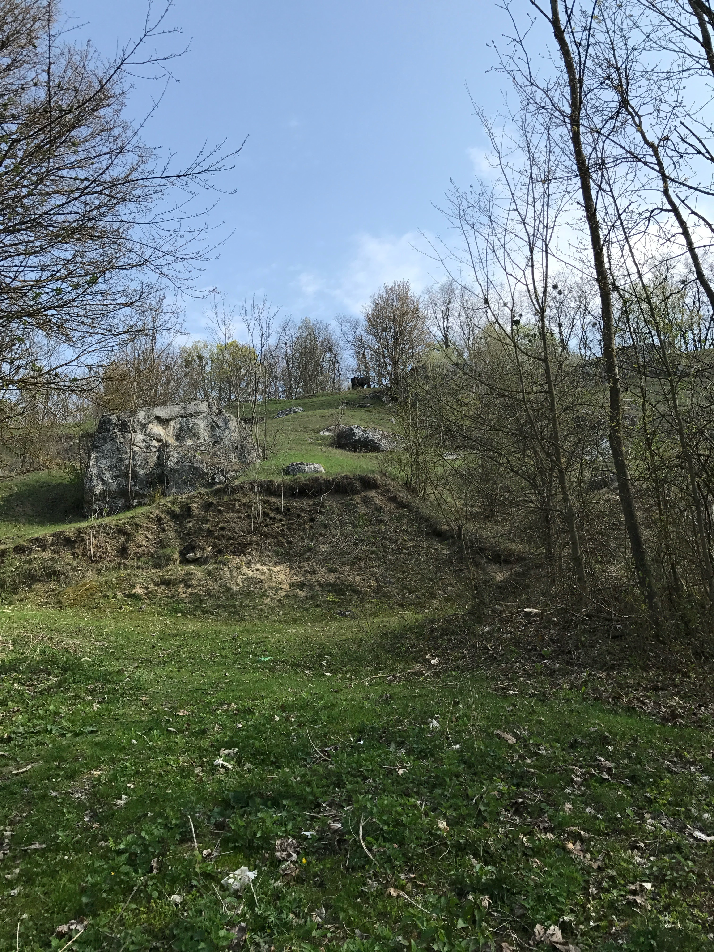 село Морозів
