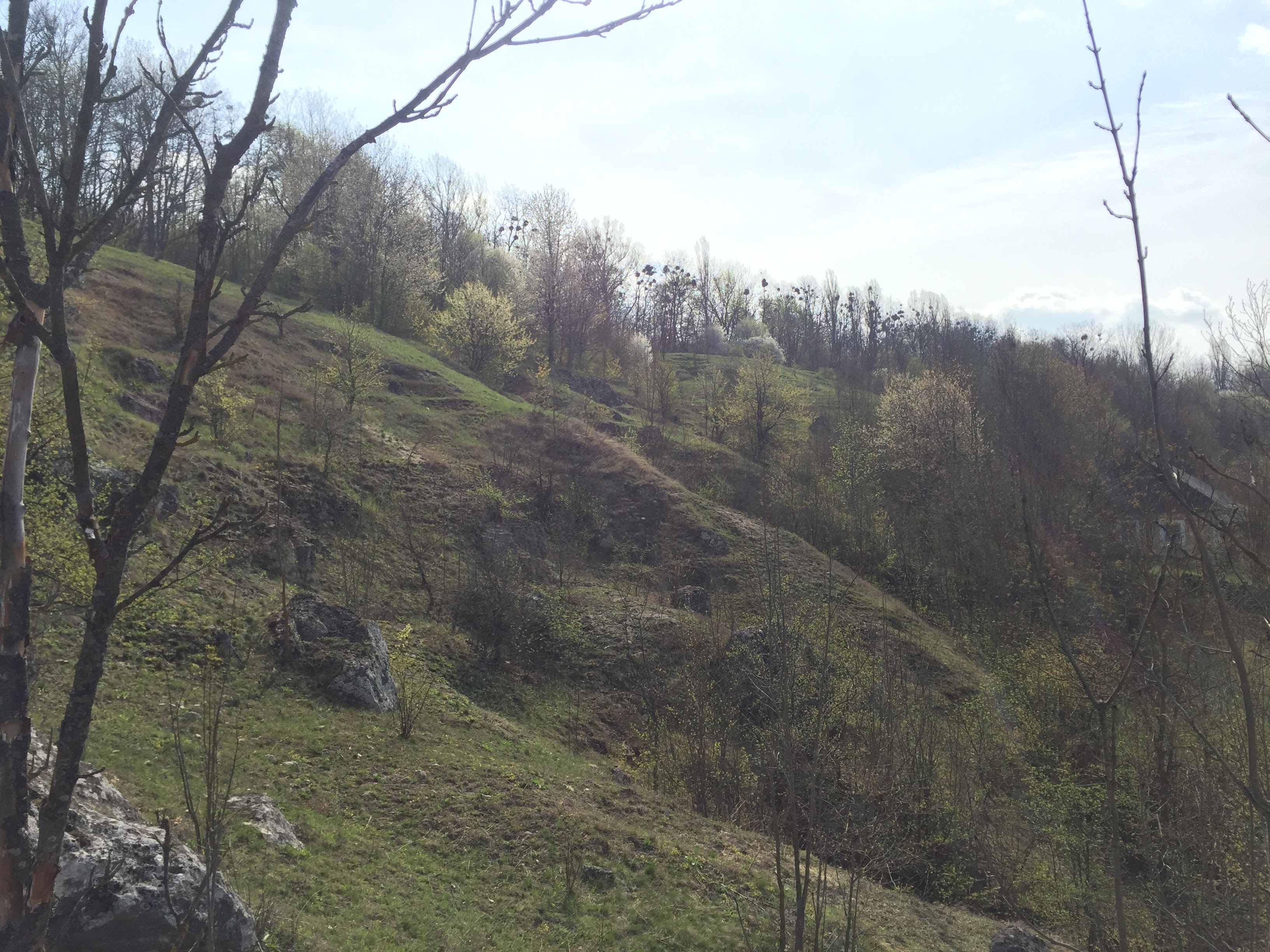 село Морозів